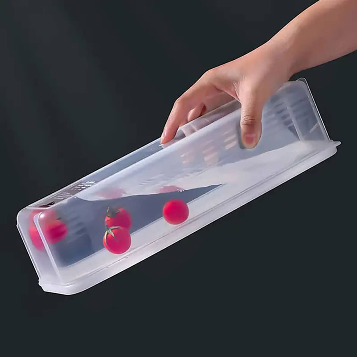 1 scatola portaoggetti in plas - Food Storage Method recensione e prezzo